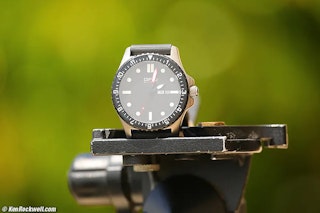 Canon EF 100-400mm F4.5-5.6L IS USMの近接撮影・ボケのレビュー