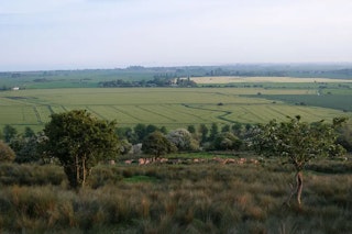 AF・動画での実戦力レビュー