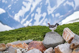 カメラメーカー10社の色味を徹底比較！メーカー毎の色味の特徴とは？