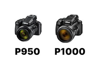 Nikon COOLPIX P950とCOOLPIX P1000の望遠域を比較|2000mm相当と3000mm相当の違い