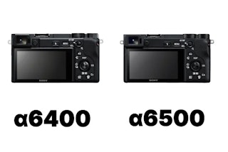 AFと被写体認識の比較｜人物中心か、動物まで撮るか