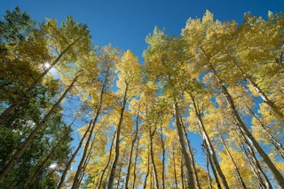 D750の画質評価:ダイナミックレンジ・高感度