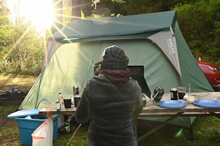 Nikon Z6IIの画質評価（RAW・JPEG）