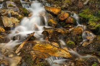 動画性能の比較：4K60pの軽快さを取るか、上位フォーマットまで見据えるか