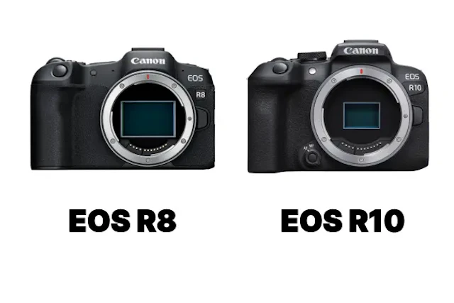 【2026年版】Canon EOS R8とEOS R10を徹底比較!フルサイズとAPS-C、後悔しない選び方
