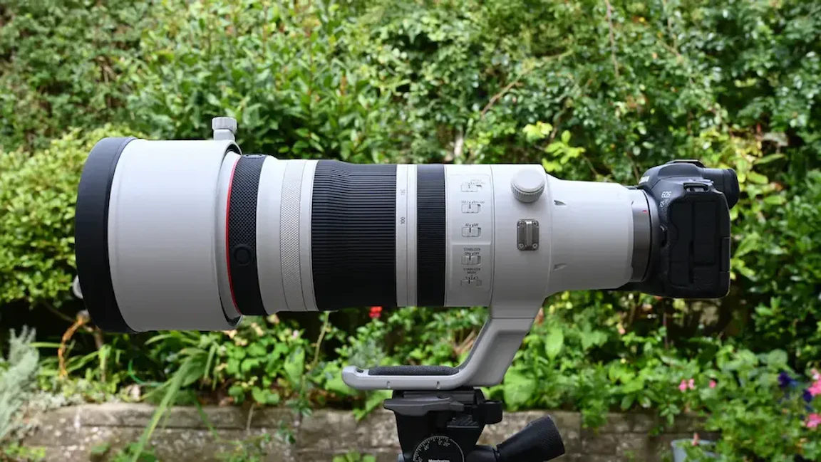 【2026年版】Canon RF100-300mm F2.8 L IS USMのレビュー比較まとめ｜スポーツ撮影での実力と競合レンズを解説