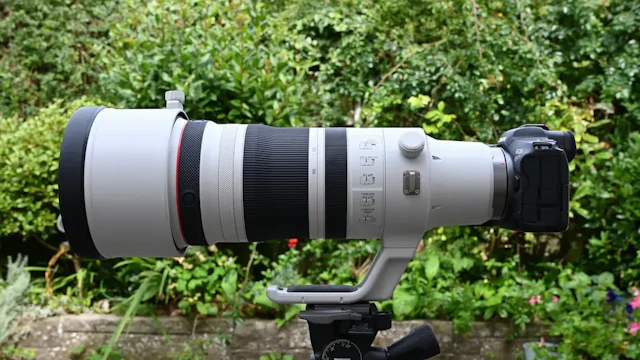 【2026年版】Canon RF100-300mm F2.8 L IS USMのレビュー比較まとめ|スポーツ撮影での実力と競合レンズを解説
