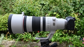 【2026年版】Canon RF100-300mm F2.8 L IS USMのレビュー比較まとめ｜スポーツ撮影での実力と競合レンズを解説
