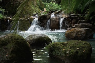 Nikon NIKKOR Z 50mm f/1.8 Sの画質評価：解像力とコントラスト