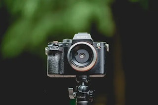 開放絞りで得られる効果：背景ボケと暗所性能を“狙って”使う