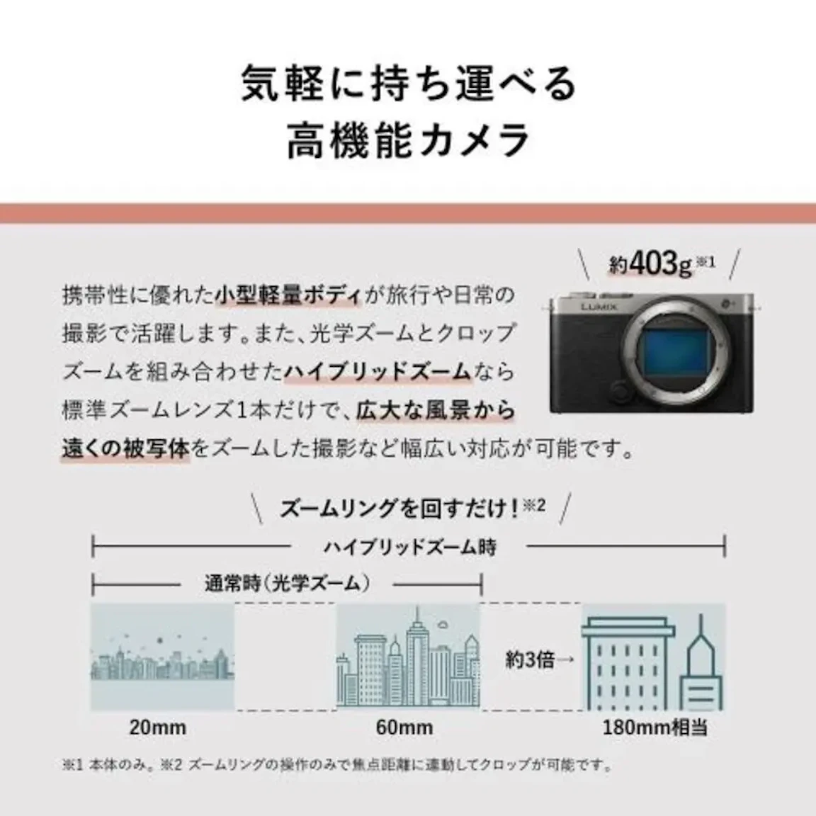 LUMIX S9(DC-S9W) ダブルレンズキット "ジェットブラック"の新品/中古の在庫一覧 3枚目