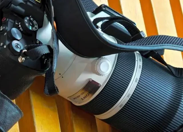 【リーク】SONY FE 100-400mm F4.5-5.6 GM OSS IIの発売日はいつ？価格予想・比較・予約まとめ