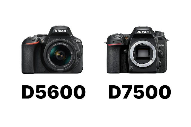 Nikon D5600とD7500の比較まとめ|画質・AF・連写・動画の違いと選び方