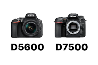 Nikon D5600とD7500の比較まとめ|画質・AF・連写・動画の違いと選び方