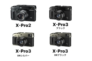 国内における現在の販売状況