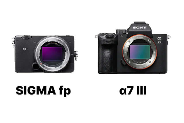 SIGMA fpとSony α7 IIIを徹底比較！小型RAW動画機と万能フルサイズ機の違い