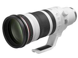 RF 100-300mm F2.8 L IS USM