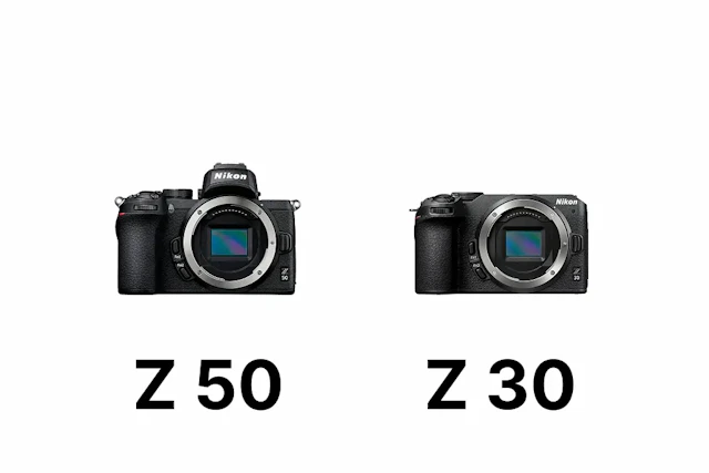 【2026年版】Nikon Z 50とZ 30を徹底比較|写真・動画の違いと選び方