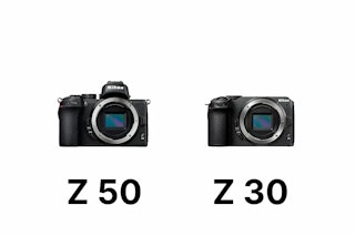 【2026年版】Nikon Z 50とZ 30を徹底比較|写真・動画の違いと選び方