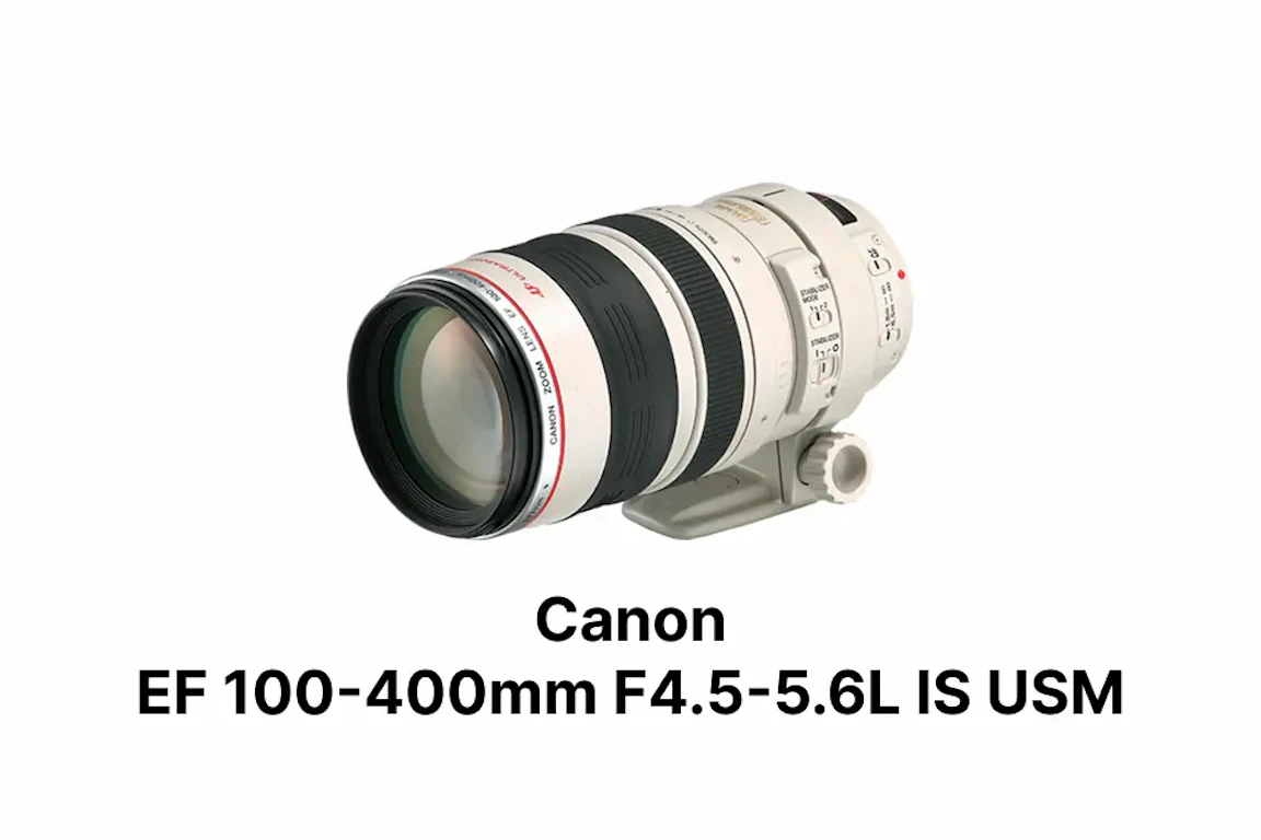 【2026年版】Canon EF 100-400mm F4.5-5.6L IS USMレビュー比較まとめ:IS II型との違いと中古購入の注意点