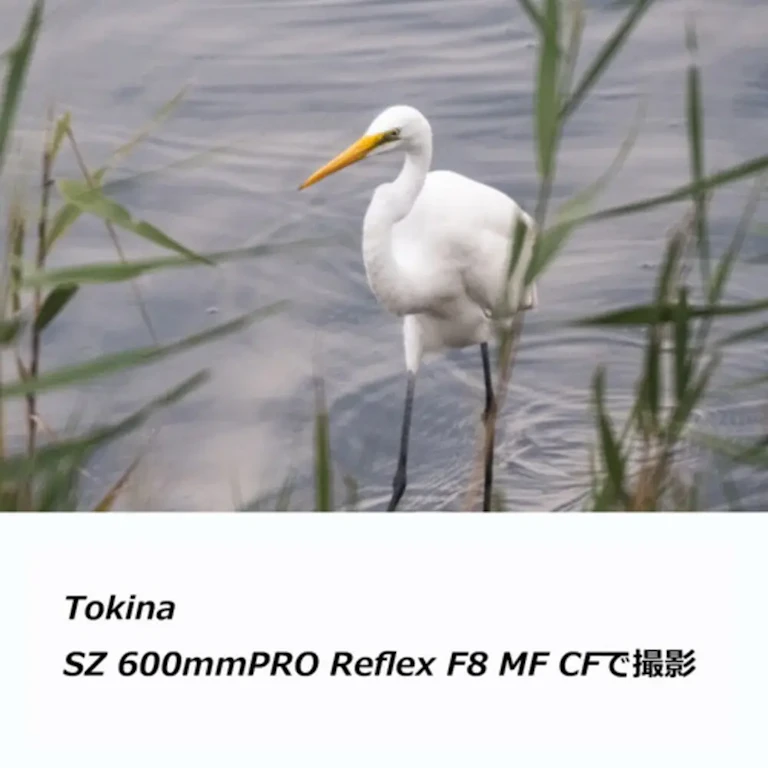 SZ 600mm PRO Reflex F8 MF CF ソニーE用の新品/中古の在庫一覧 3枚目