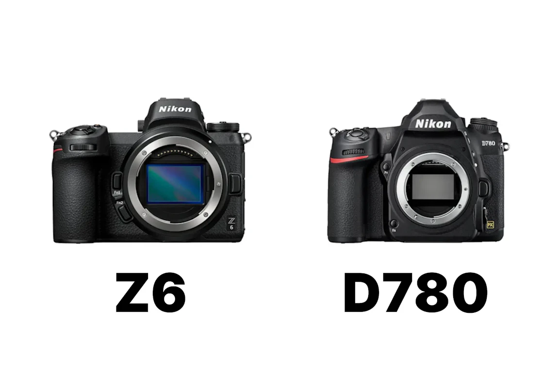 Nikon Z 6とD780を徹底比較！画質・AF・手ブレ補正の違いと選び方