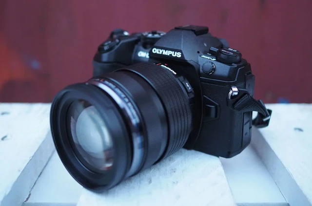 【2026年版】OLYMPUS OM-D E-M1 Mark IIのレビュー比較まとめ 野鳥・スポーツ撮影に最適