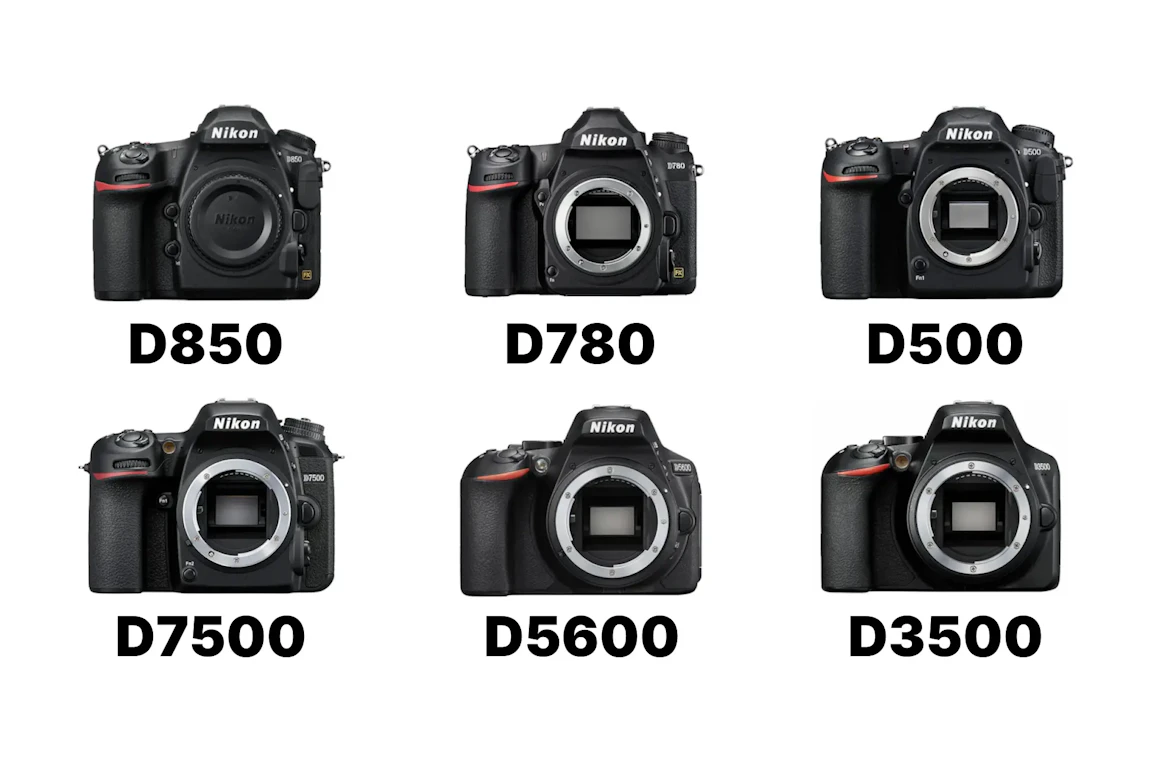 Nikon Dシリーズを徹底比較！D850・D780・D500・D7500・D5600・D3500はどれを選ぶ？