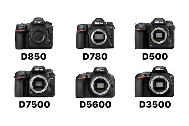 Nikon Dシリーズを徹底比較！D850・D780・D500・D7500・D5600・D3500はどれを選ぶ？