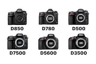 Nikon Dシリーズはどれを選ぶべきか