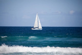 Canon EOS 5D Mark IIの動画性能のレビュー