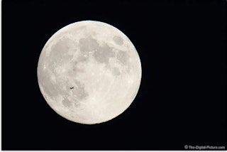 Canon EF600mm F4L IS II USMのエクステンダー運用