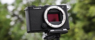 AF・連写・動体適性の比較:家族/ペットはLUMIX S9が有利になりやすい