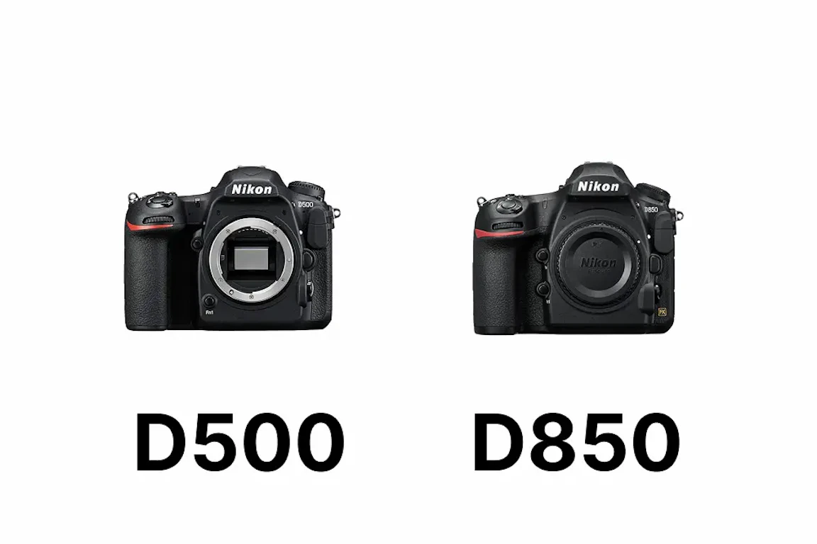 【2026年版】Nikon D500とD850を比較|AF・連写・画質・動画・重さ・価格の違いと選び方