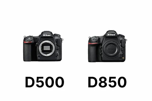 【2026年版】Nikon D500とD850を比較|AF・連写・画質・動画・重さ・価格の違いと選び方