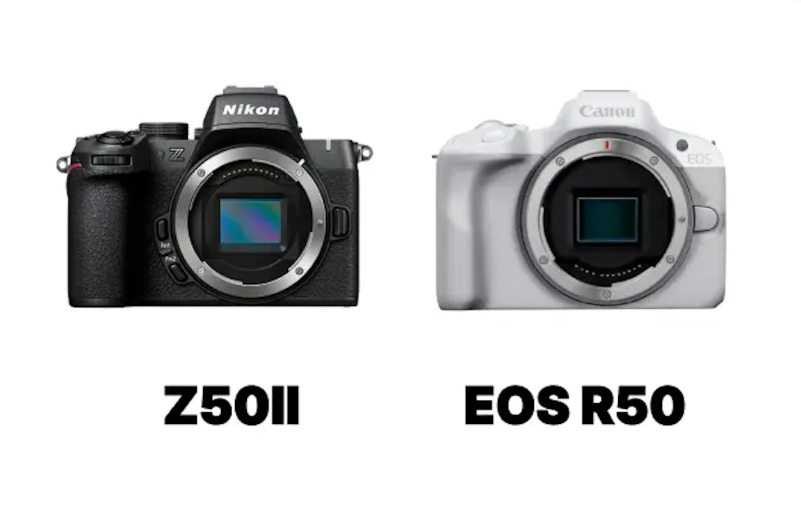 【2026年版】Nikon Z50IIとCanon EOS R50を徹底比較!静止画・動画・価格で選ぶ“後悔しにくい”1台はどっち?