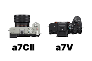 AF・連写の比較｜点数より撮れ高に直結する違い