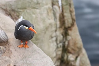 ボケとポートレート表現：F2.8の描写傾向