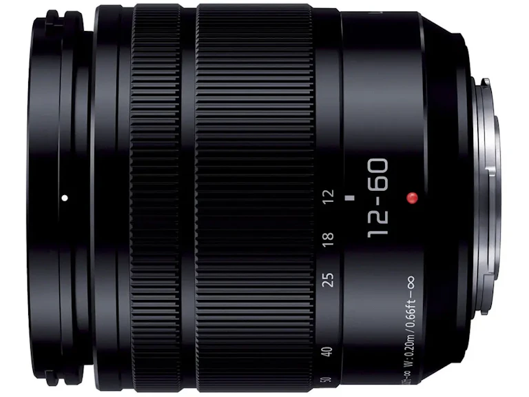 LUMIX G VARIO 12-60mm/F3.5-5.6 ASPH./POWER O.I.S.の新品/中古の在庫一覧 2枚目