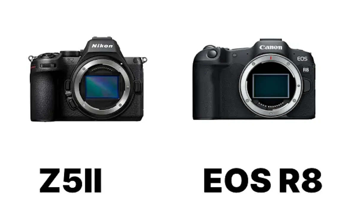 【2026年版】Nikon Z5IIとCanon EOS R8を徹底比較!静止画・動画・操作性まで後悔しない選び方
