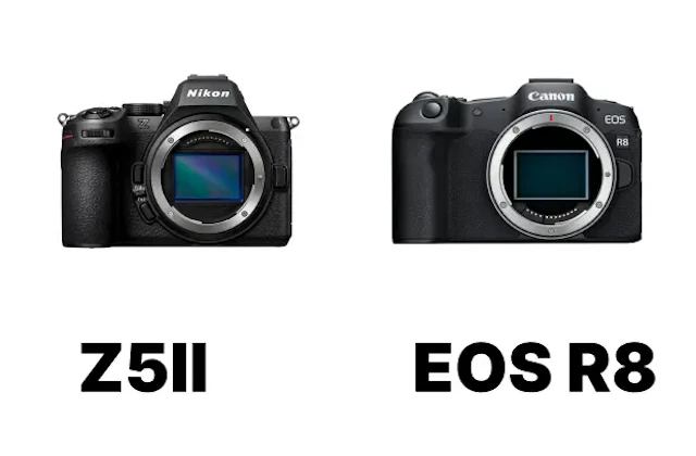 【2026年版】Nikon Z5IIとCanon EOS R8を徹底比較!静止画・動画・操作性まで後悔しない選び方