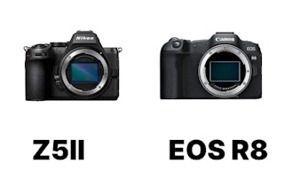 Nikon Z5IIとCanon EOS R8はどちらを選ぶべきか|結論と選び分けの軸を整理