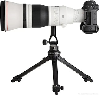 EF 600mm F4L IS III USMの画質評価（解像・コントラスト）