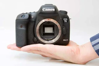 Canon EOS 7D Mark IIのレビュー比較まとめ 動体撮影に強いAPS-C一眼レフ