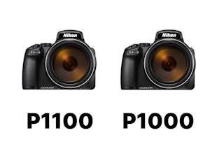 COOLPIX P1100とCOOLPIX P1000はどちらを選ぶべきか