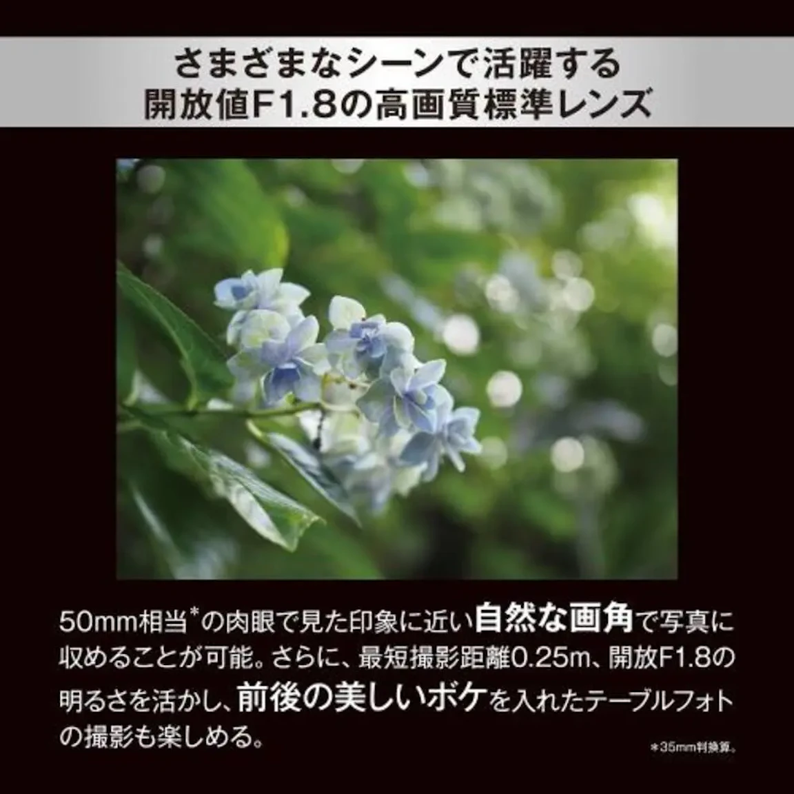 M.ZUIKO DIGITAL 25mm F1.8 IIの新品/中古の在庫一覧 3枚目