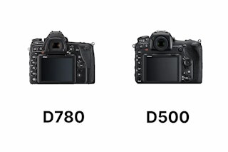 Nikon D780 vs D500の主要スペック比較