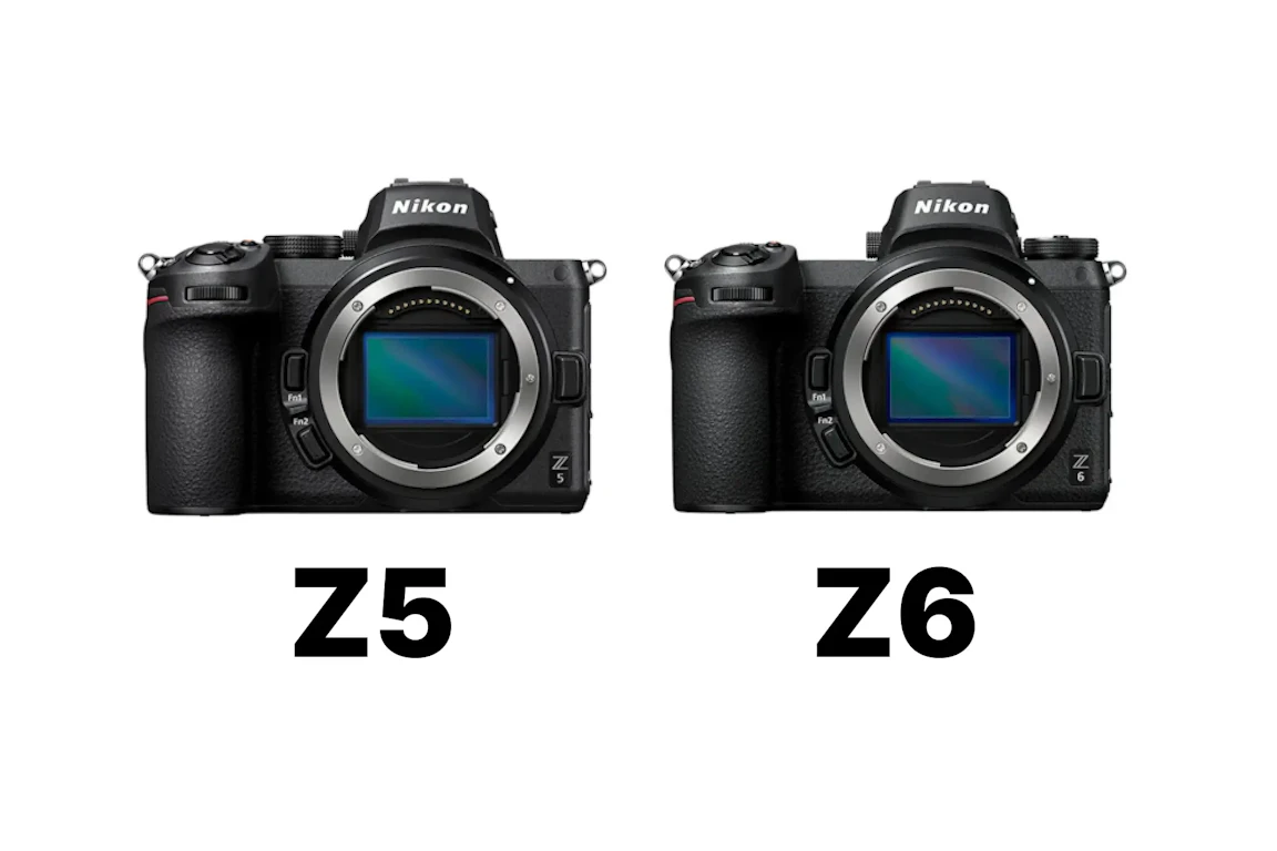 Nikon Z5とNikon Z6を徹底比較!画質・AF・動画・価格から選び方まで解説