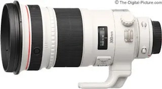EF 300mm F2.8L IS II USMのAF性能レビュー(動体撮影)