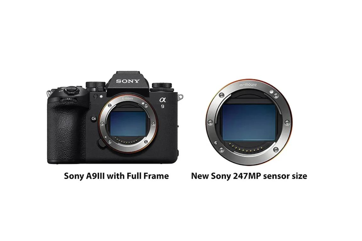 Sonyが中判システムに参入?2〜3年以内投入の噂を整理